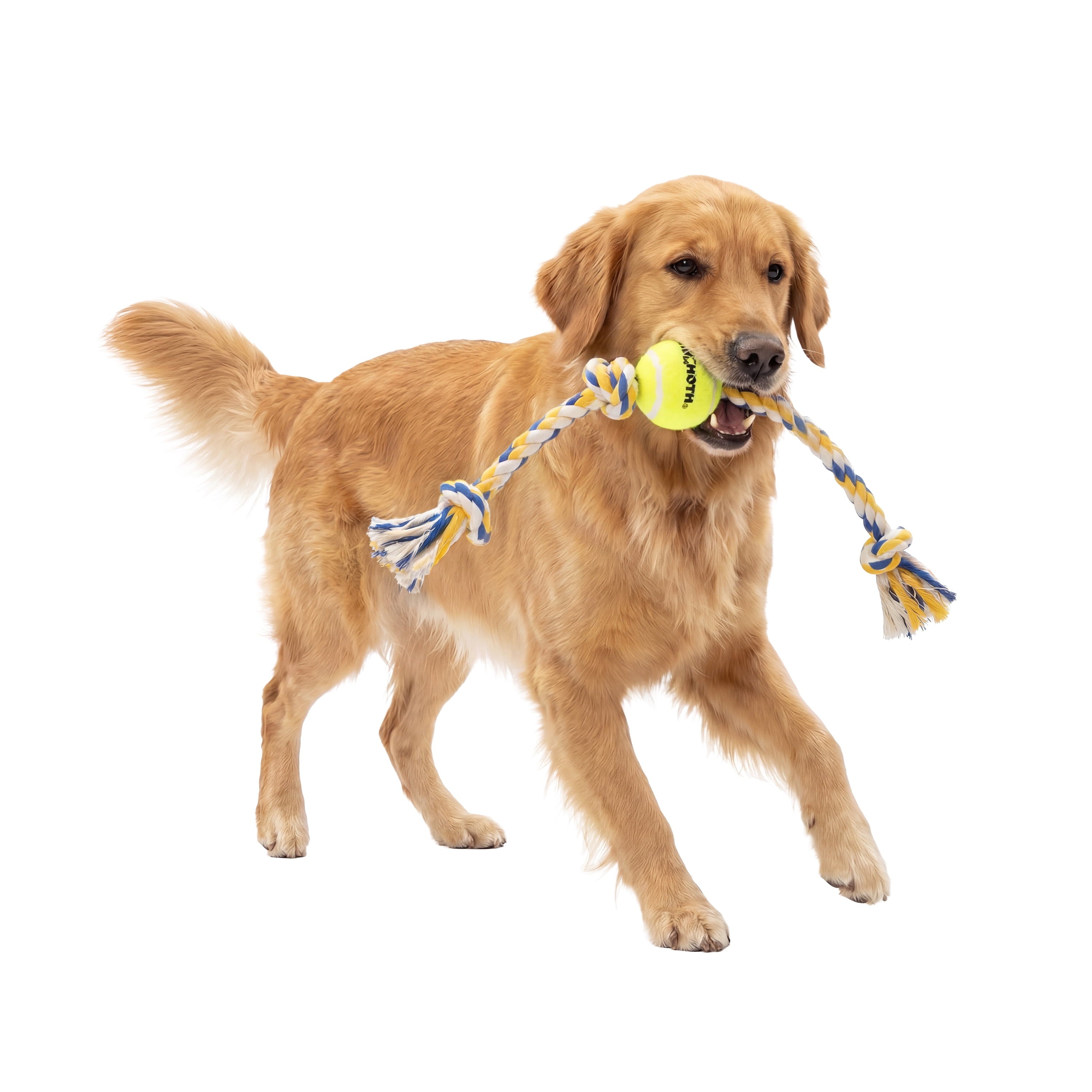 Flossy Chews Extra Large 36 Inch 5 Knot Cottonblend Tug Rope Dog Toy, Durable Rope Chew Toy for Large Dogs over 80 Lbs, Assorted Colors