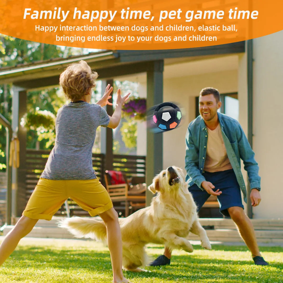 Football Tennis Dog Toy