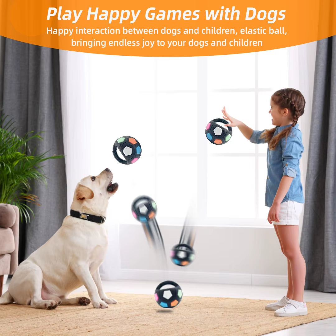 Football Tennis Dog Toy